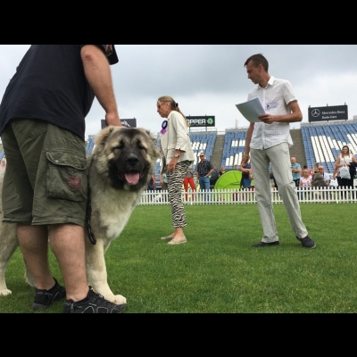 IDS LESZNO'18 - BALDUR
